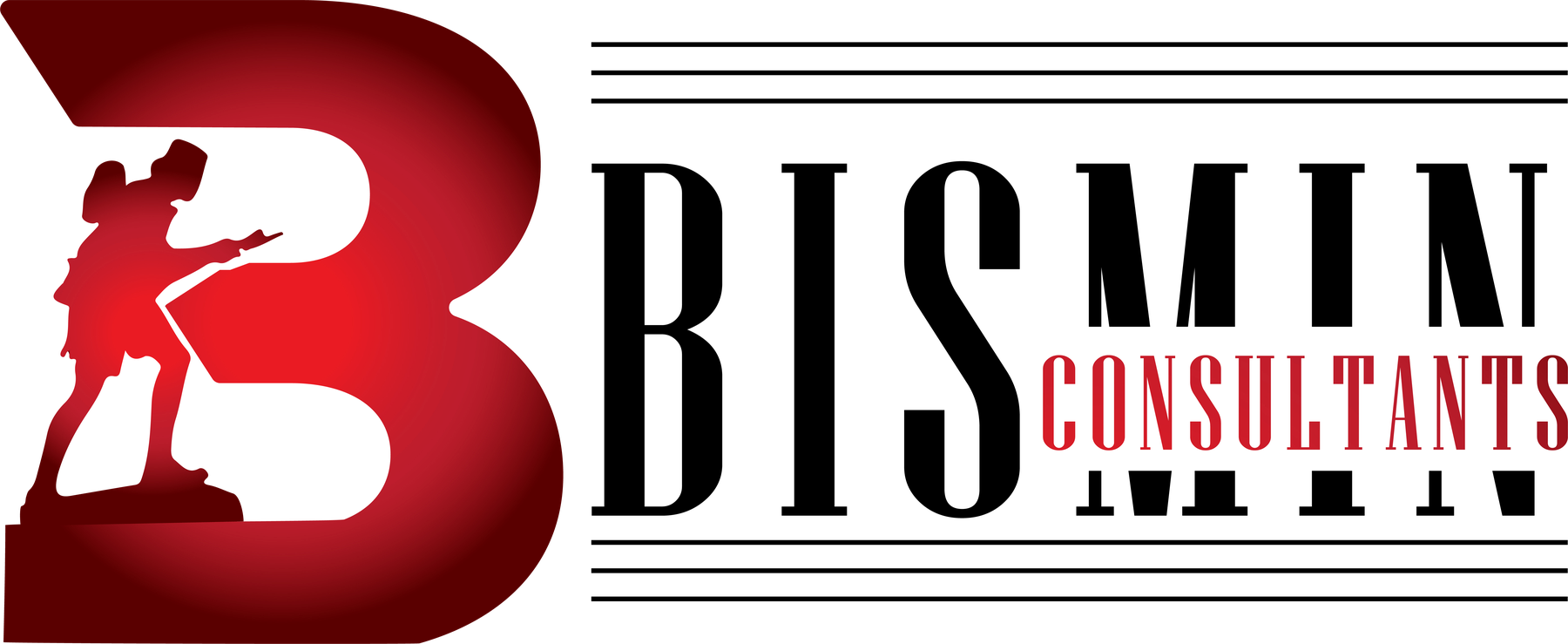 BISMIN Consultants
