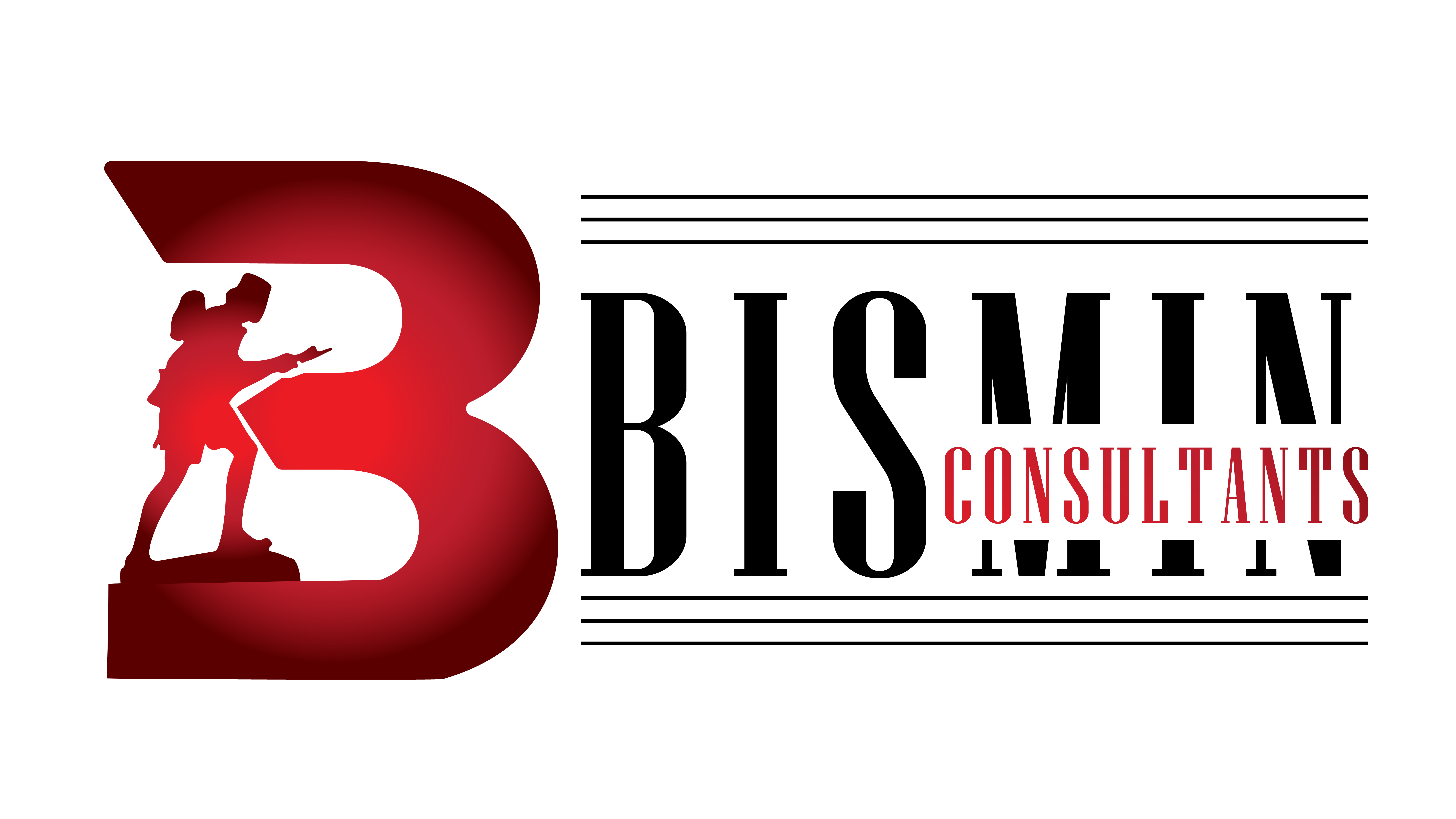 BISMIN Consultants